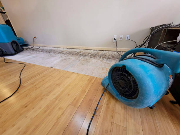 Professional Water Damage Repair technician working in Lupton, AZ